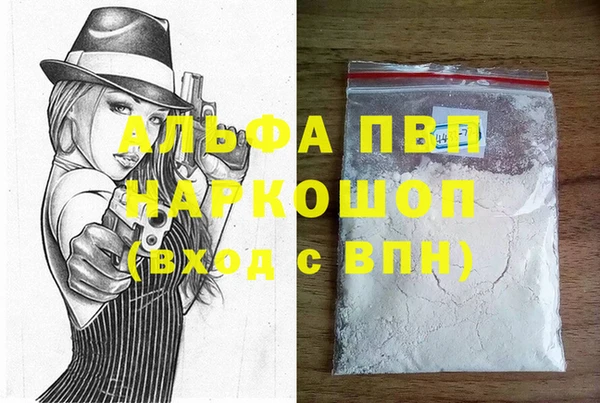 стаф Алексин