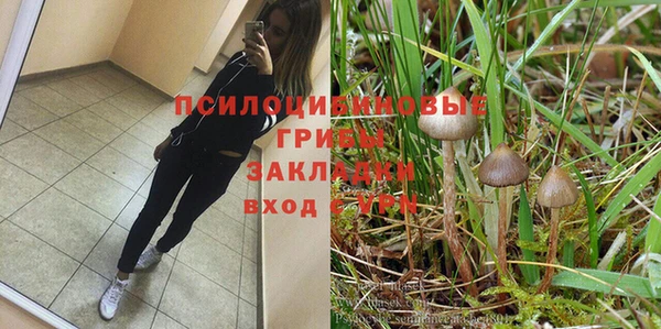 ALPHA PVP Алзамай