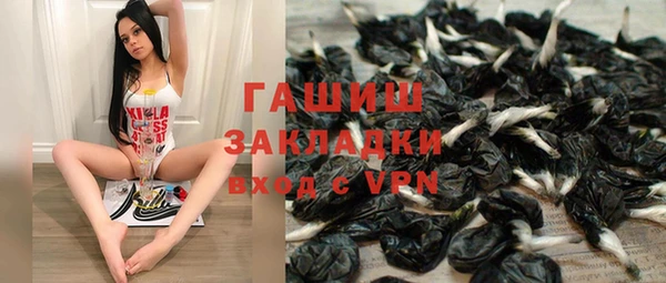 стаф Алексин