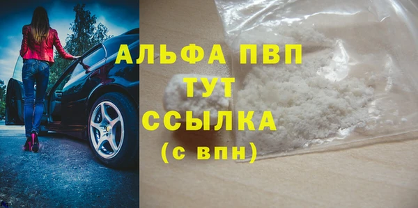 стаф Алексин