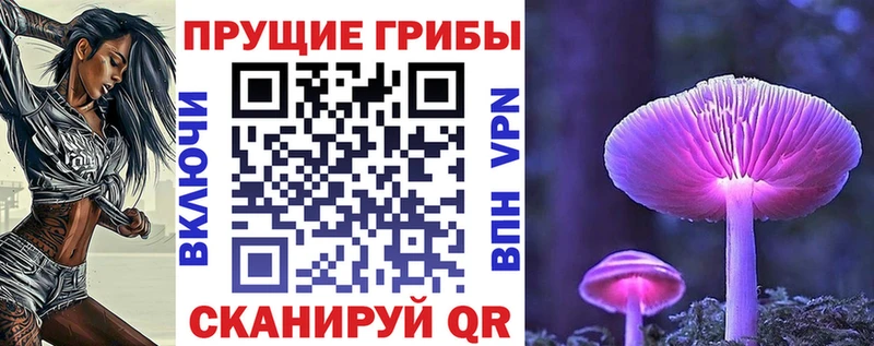 магазин продажи   сайты даркнета наркотические препараты  Галлюциногенные грибы мухоморы  Бавлы 