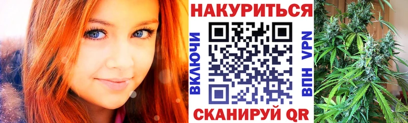 Бошки Шишки план  это как зайти  Бавлы 